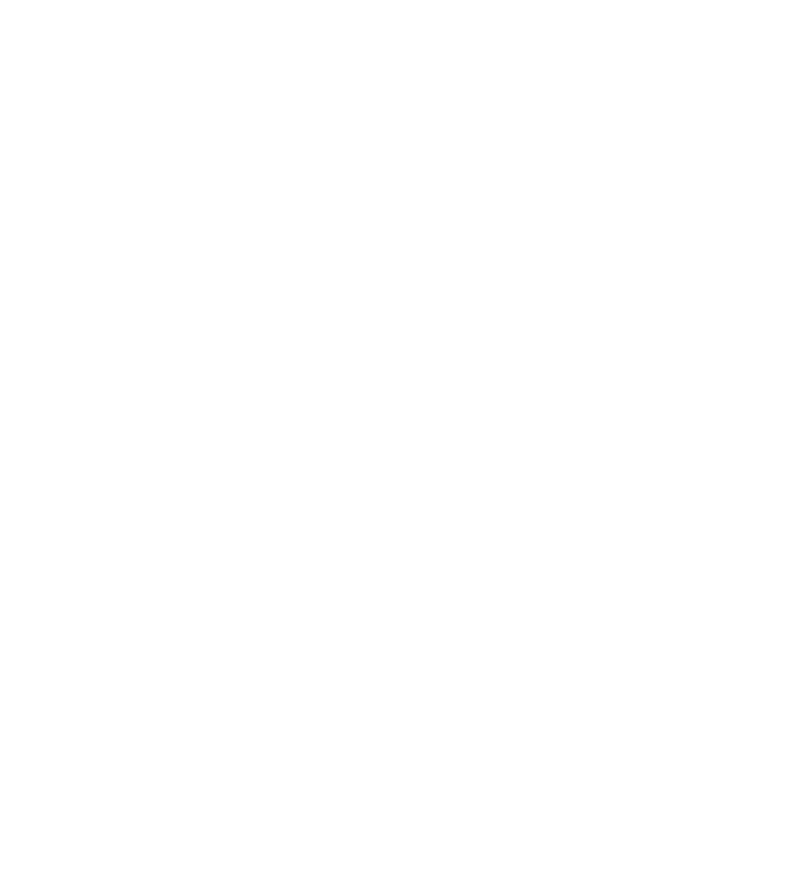 logo Clean Climber