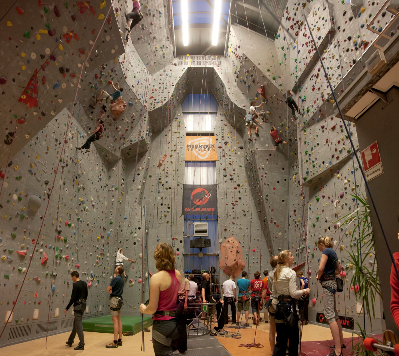 Ventileren diagonaal Gedwongen Indoor klimmen in onze 7 klimhal locaties | Al 30 jaar Mountain Network