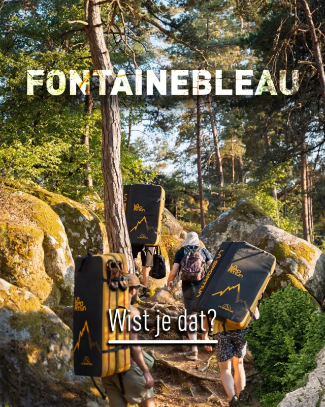 🧗Wist je dat... we naast onze locaties in Nederland ook te vinden zijn in het buitenland?

📍Van de eerste stappen op buitenrots tot aan gevorderdere trad multi-pitch cursussen. Onze ervaren instructeurs nemen deelnemers mee naar prachtige klimgebieden in Europa. Samen werken ze aan techniek, veiligheid én vertrouwen om zelfstandig buiten te klimmen

Benieuwd waar we naartoe gaan of wat bij jou past?
👉 Check de link in bio voor alle info.

#sportklimmen #klimcursus #klimmen #outdooravontuur