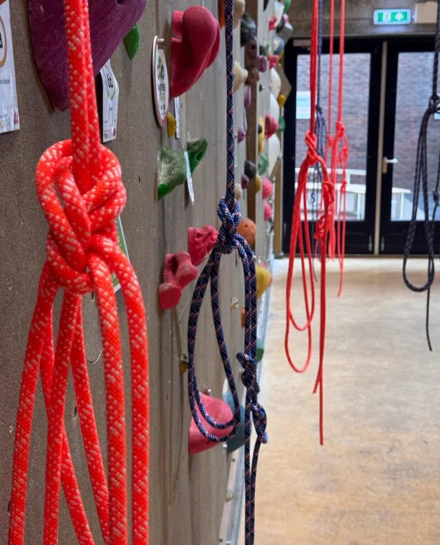 🎄🎆Aangepaste openingstijden voor de feestdagen: 

Kerstavond 10:00-17:00
Eerste kerstdag GESLOTEN 
Tweede kerstdag GESLOTEN Noardwand open!
Oudjaarsdag 10:00-17:00
Nieuwjaarsdag GESLOTEN
.
.
.
#heerenveen #mountainnetwork